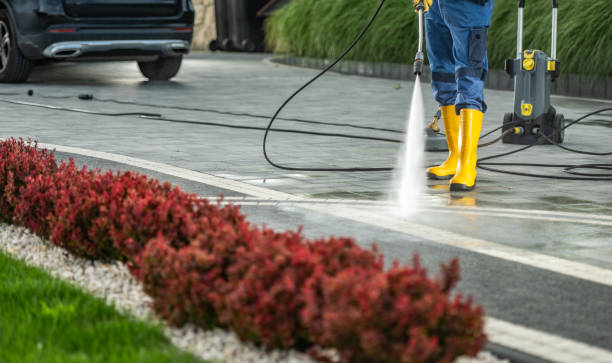 Best Pressure Washing Brick  in Marlow Heights, MD